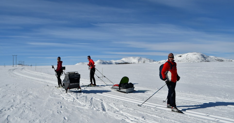 Mennesker som går på ski. Foto.