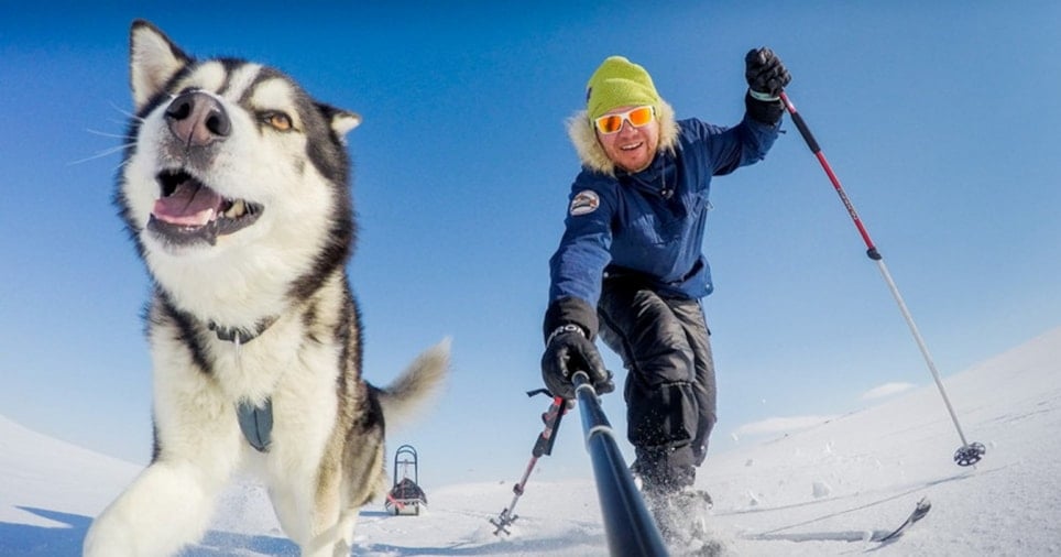 En mann på ski og en hundekjøring. Foto.