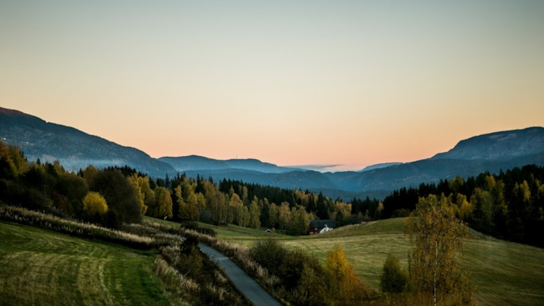 Vakkert høstlandskap under rosa himmel. Foto